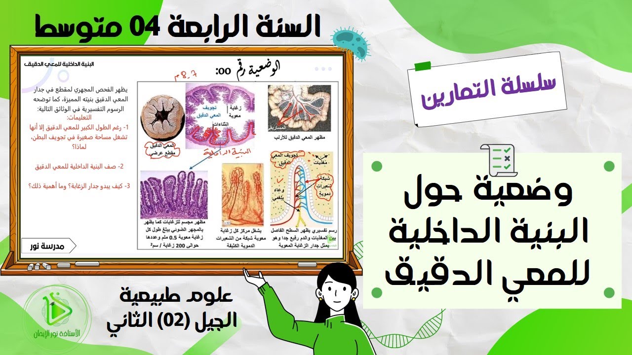 تمرين حول البنية الداخلية للمعي الدقيق علوم طبيعية سنة 04 متوسط