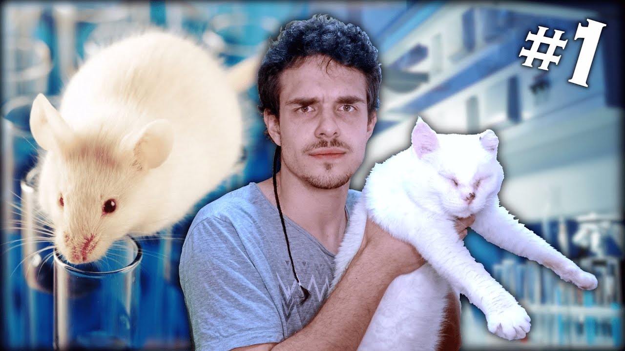 100 MILLONES de animales usados para EXPERIMENTAR ǀ Experimentación animal 1 - Beagle’s Diary -