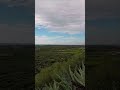 stgeorge epi2025