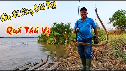 Câu Cá Sông Soài Rạp Cần Giờ Quá Thú Vị | Câu Cá Cần Giờ