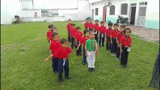 Pt timing in the green wood play school