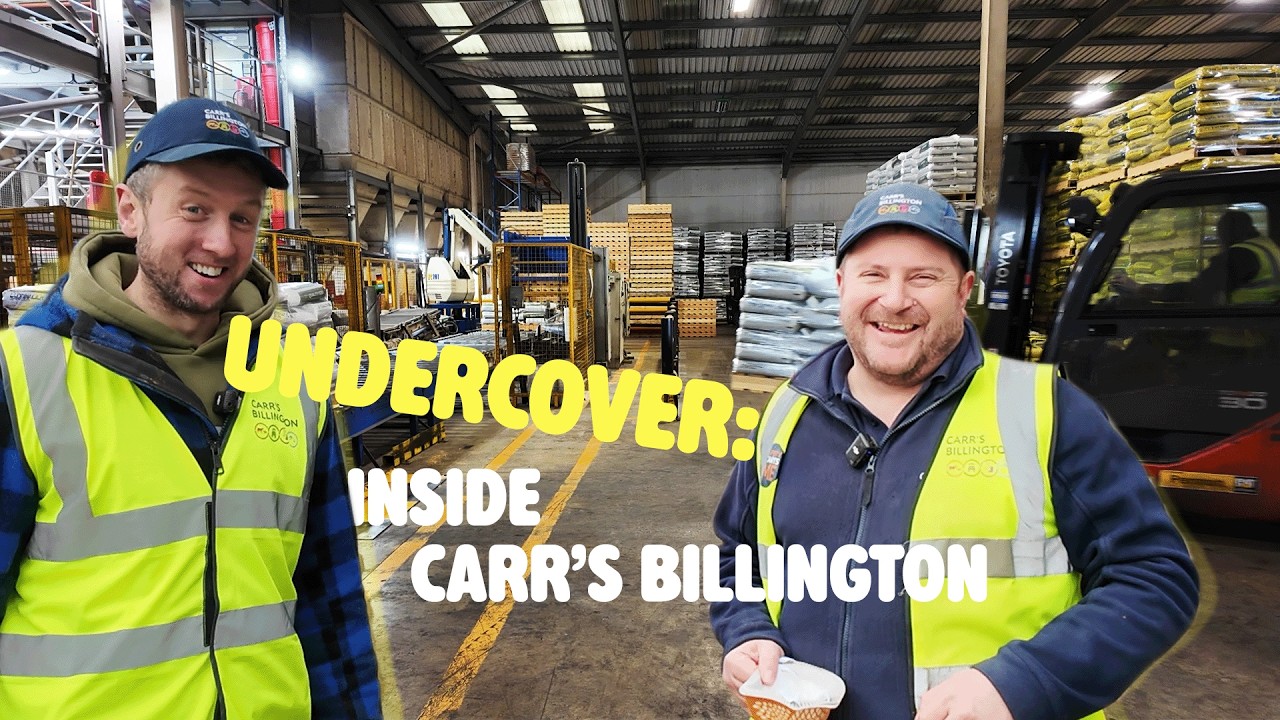 Как они кормят наших овец?