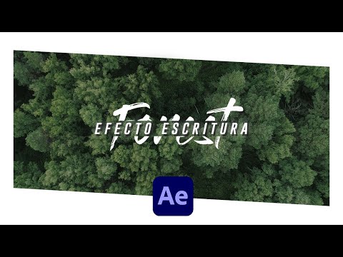 EFECTO ESCRITURA EN