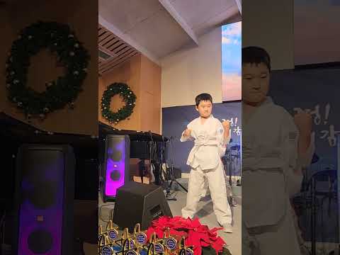 A Taekwondo Performance by a 9-Year-Old Kid
