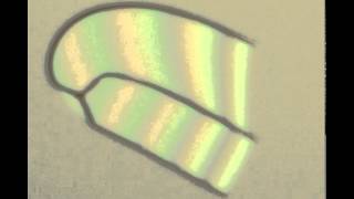 Duos and following cracks in thin films