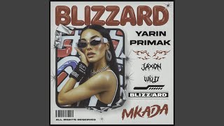 Blizzard