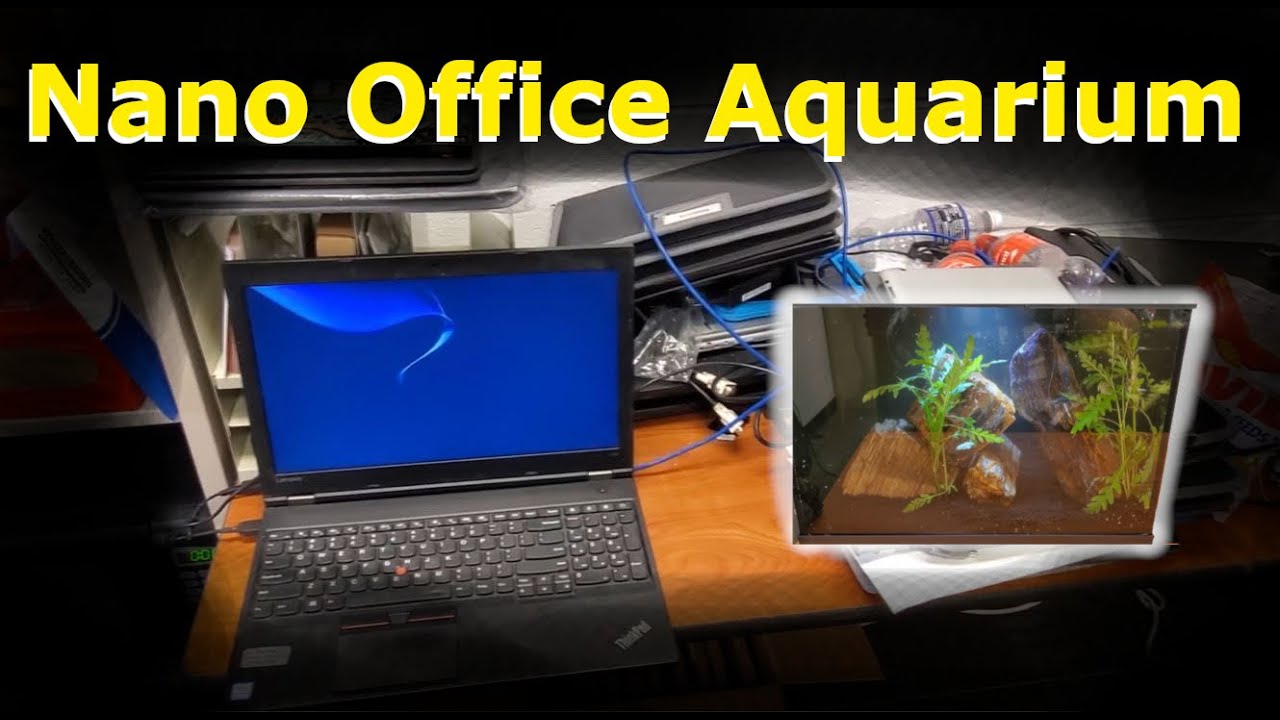 Office Desk Aquarium Setup Build Series Ep. 2 YouTube