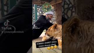 Cübbeli̇ Ahmet Hoca Aslan Sevi̇yor