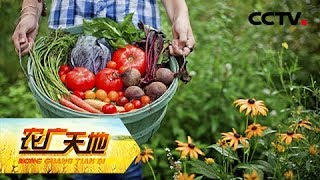 《农广天地》女白领的蔬菜经 20180702 | CCTV农业