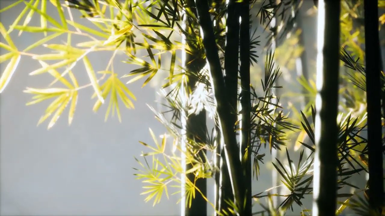 Enchanting Serenity: Sunlit Asian Bamboo Forest Captivates the Senses