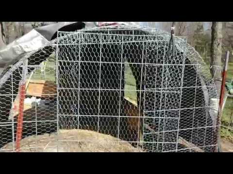 homesteading course Predator Proofing the Hoop Coop pt2