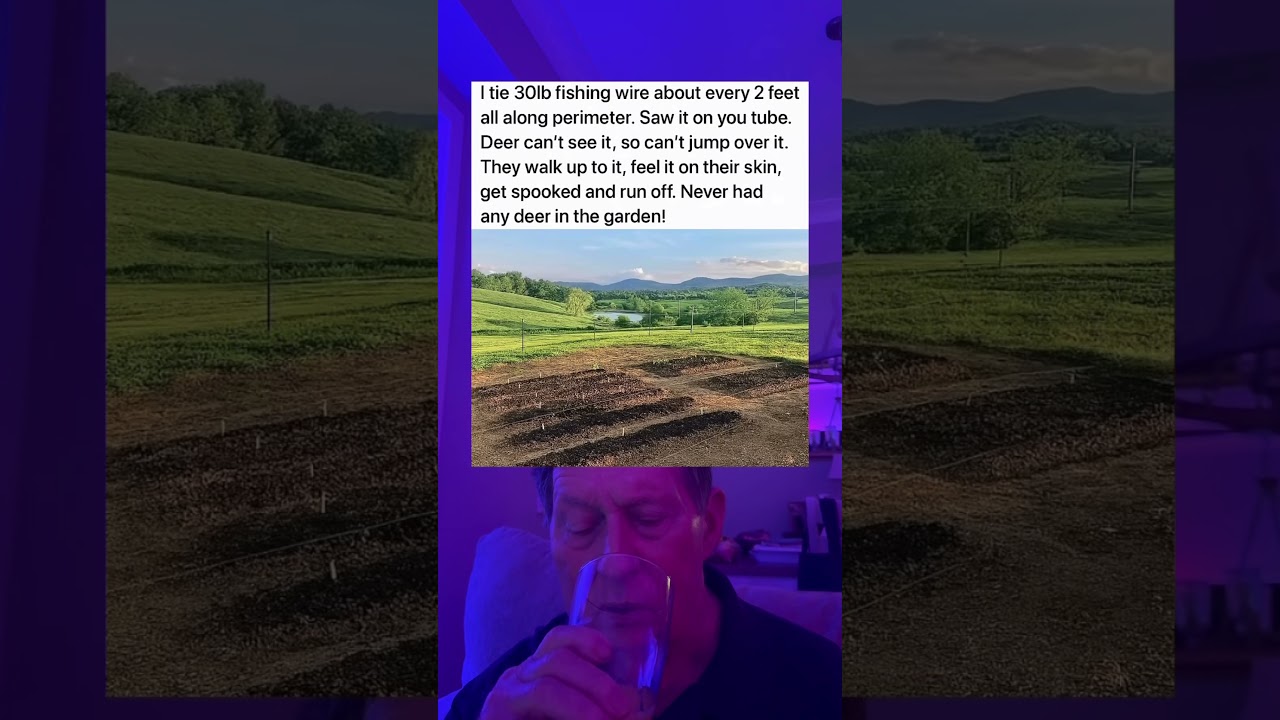 Tie A 30Ib Fishing Line Every 2 Feet Around Your Garden.