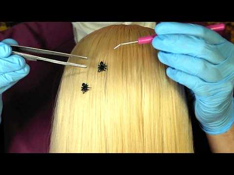 Lice Check & Bug Removal (Whispered)