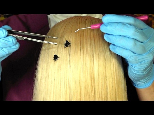 Lice Check & Bug Removal (Whispered)