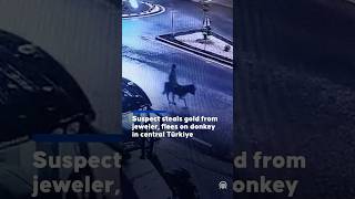 Suspect steals gold from jeweler, flees on donkey in central Türkiye