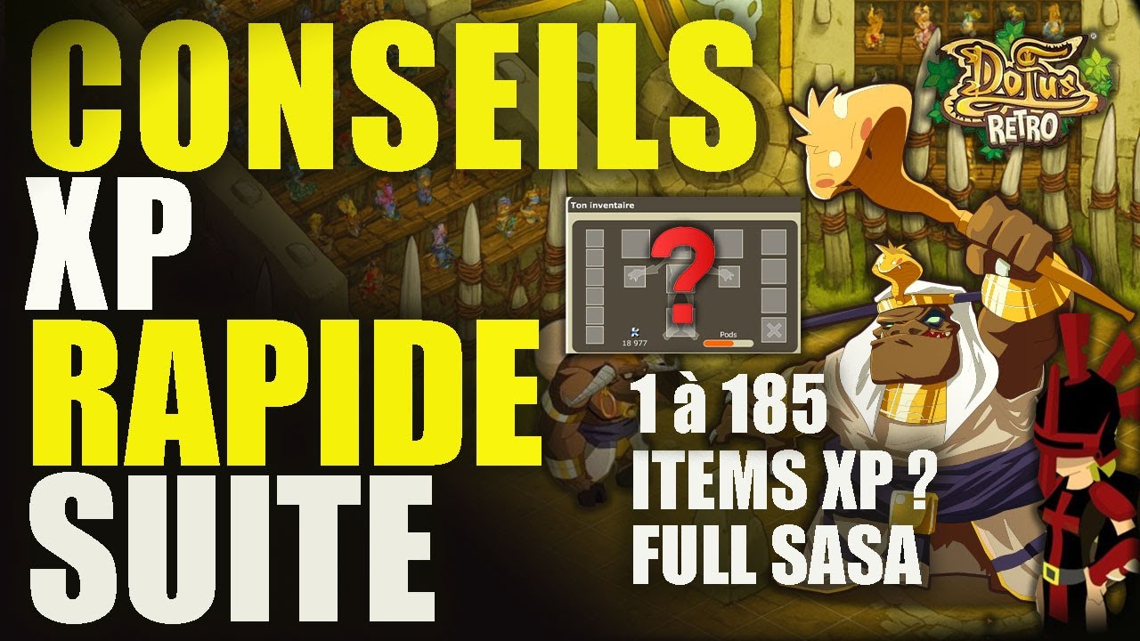 [SUITE] COMMENT XP RAPIDEMENT SUR DOFUS RETRO? - ITEMS MULES XP TEAM OSA PANDA [DOFUS RETRO | EP. 2]