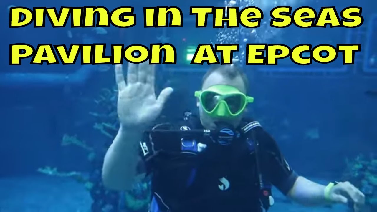 The Seas DiveQuest Experience at Epcot Walt Disney World 2019 YouTube