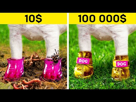 Thumbnail for MAKEOVER FOR HOMELESS PET || Rich Guy Save Poor Dog From the TRASH CAN!