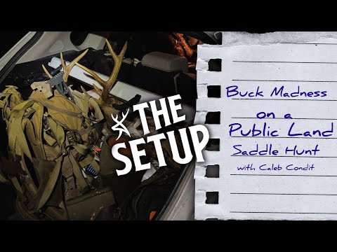 Buck Madness on a Public-Land Saddle Hunt | THE SETUP #217