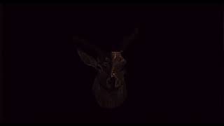 Camp Claw: Teaser