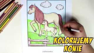 Kolorowanka Koń i Źrebak 🐎 Kolorowanie, cieniowanie, malowanie i zabawy dla dzieci