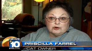 Family questions shelter's cat policy screenshot 2