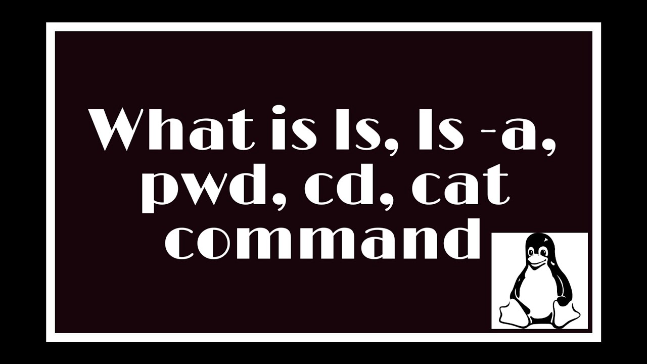 What is ls, ls -a, pwd, cd and cat command in linux - YouTube
