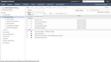 Select or Upload a Dataset in MarketSight