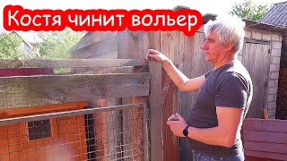 VLOG Решили переделать будку Джетты для Лимона