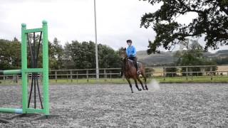 Teddy jumping Raws