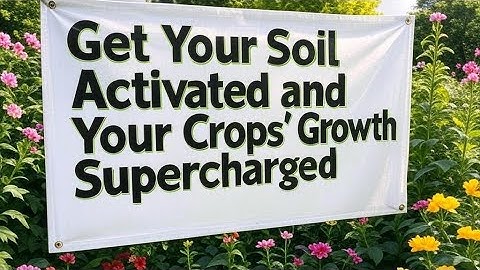 Biochar: The Secret to Supercharged Garden Growth