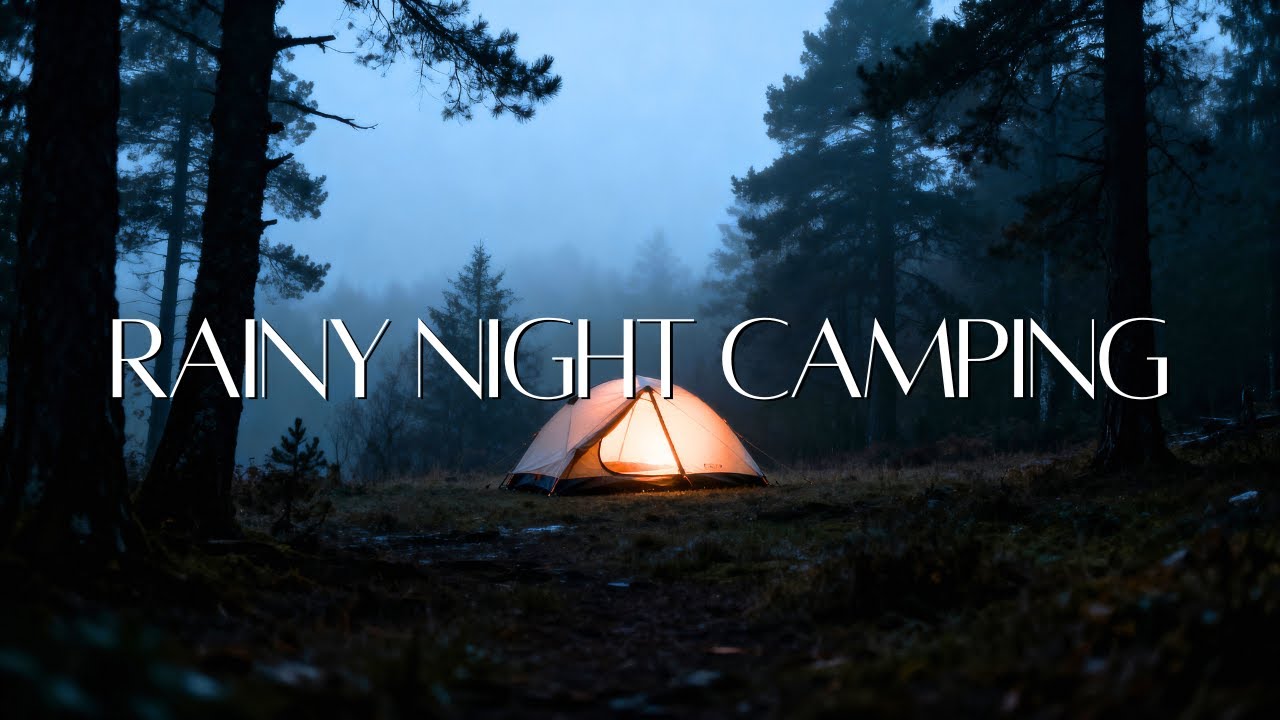 Rainy Night Camping | Simple Food, Warm Fire & Dogs