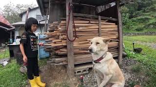珠葉の日常　#メンバー限定動画