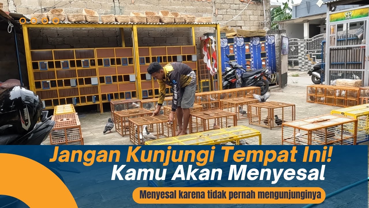 Jawara Merpati 99 Bekasi Buka Kios di Markasnya