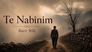 Te Nabînim - Full Baresile Cover