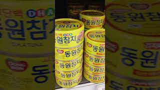 참치 &amp; 참치 ~