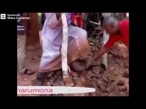 A Must Watch Rev Fr Paul Obayi Of Okunerere Adoration Ministry Destroys Evil And Ancestral Powers Youtube