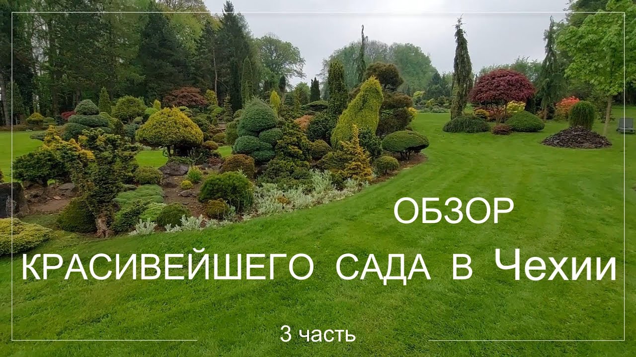 Красивейший сад в Чехии. Miniarboretum u Holubů. Азалии расцветают. 3 часть.