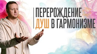 Реинкарнация в Гармонизме. Существует ли перерождение душ?