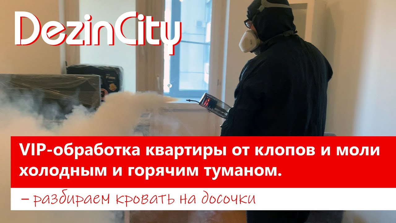VIP-обработка квартиры от клопов и моли холодным и горячим туманом ...