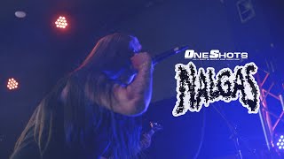 Oneshots Presents Nalgas