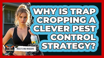 Why Is Trap Cropping A Clever Pest Control Strategy? - Insects and Invaders