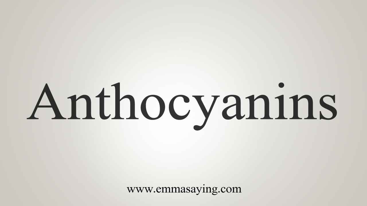 How To Say Anthocyanins YouTube