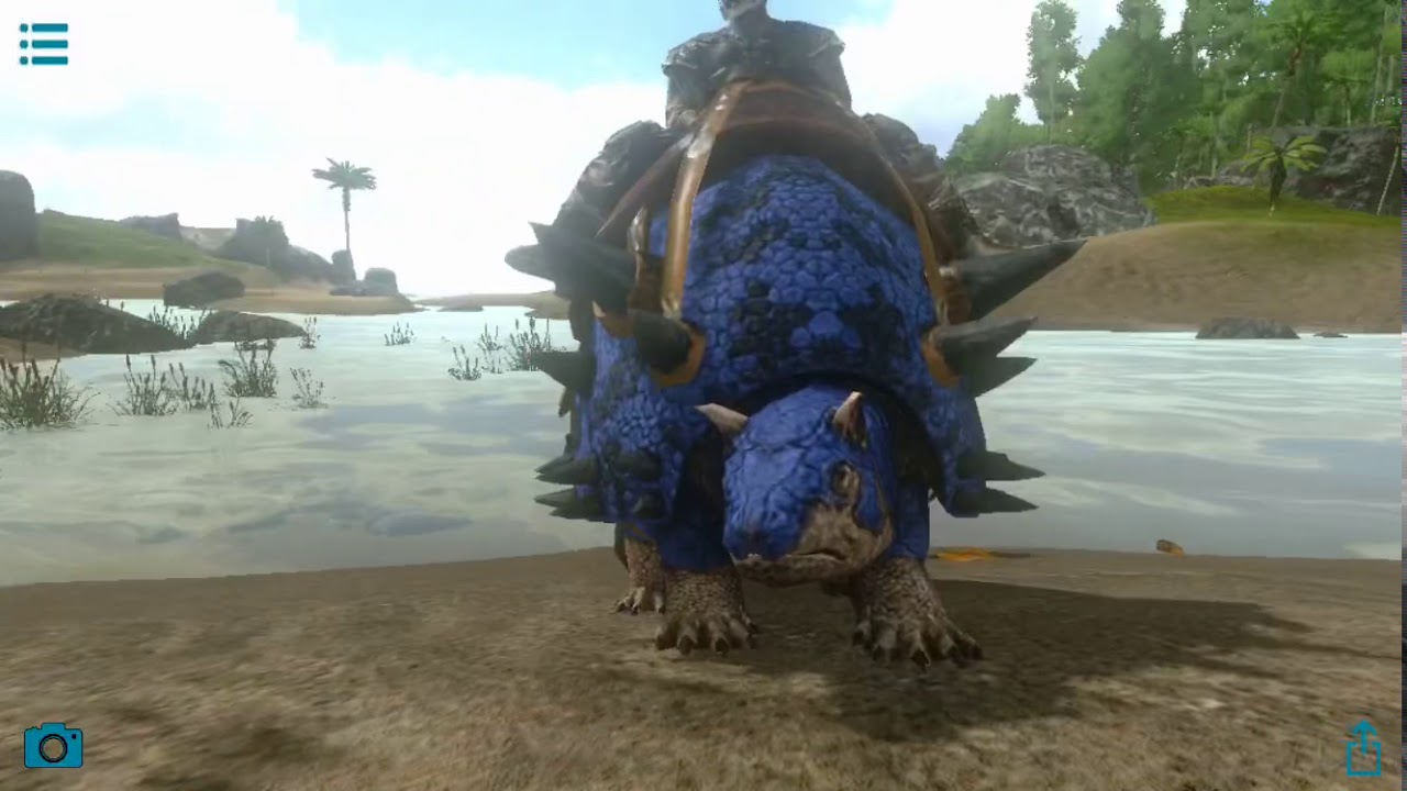 The Doedic Goes ‘Round and ‘Round!