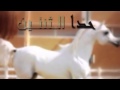 شلات طرب