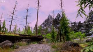 Skyrim SE Cyrn ENB (Lag and stutters, but it is smooth when not recording)
