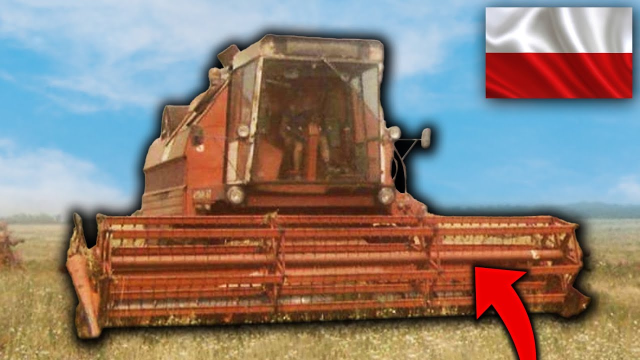 DLACZEGO POLACY POKOCHALI BIZONA?