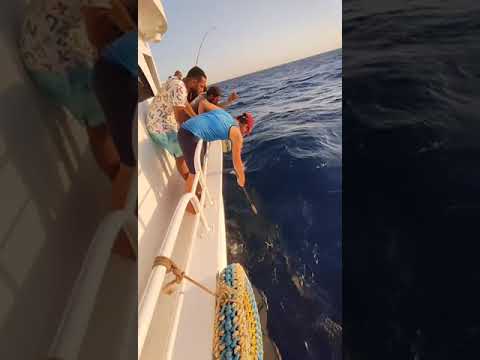 بياض چيج من الكونيسه مركب نور الشمس وانقذ ابراهيم