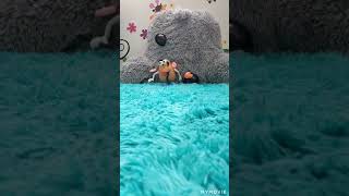 Mr Potato Head Verus random objects Slow Motion