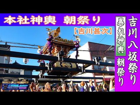 令和7年 吉川八坂祭り (朝祭り暴れ神輿 差し揉み渡御 )